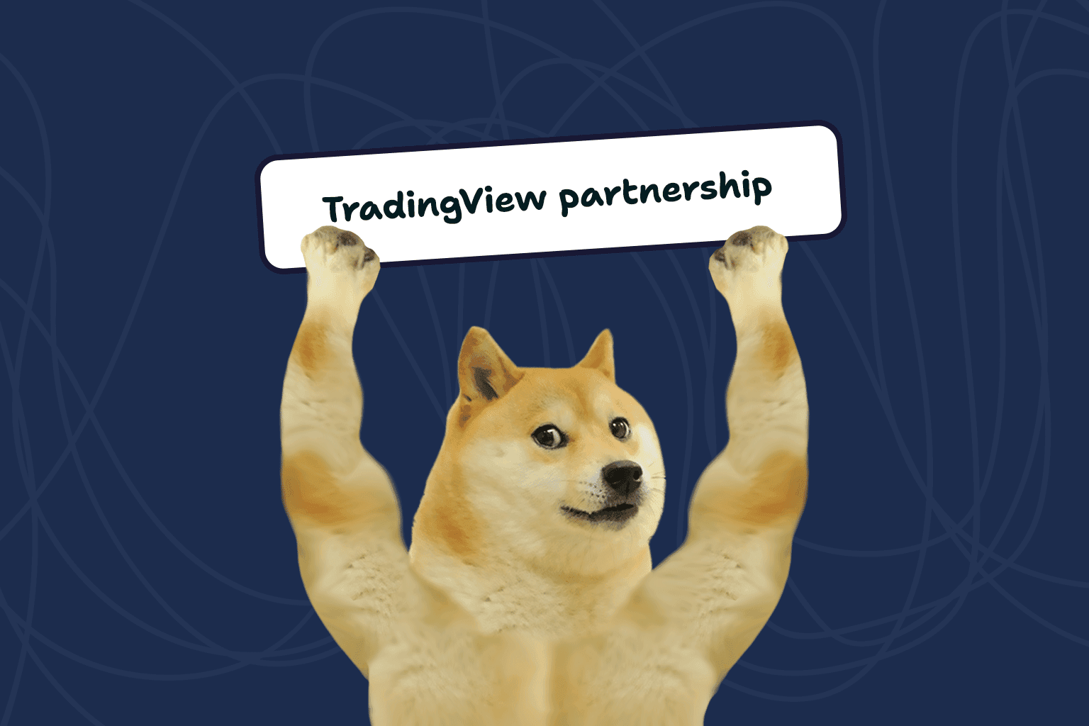 Derps Partners with TradingView: Powering Your Trading with World-Class Charting Tools